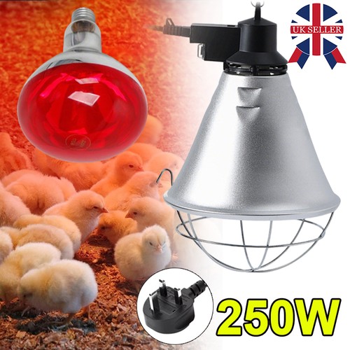 250w infrared heat lamp - 250w,