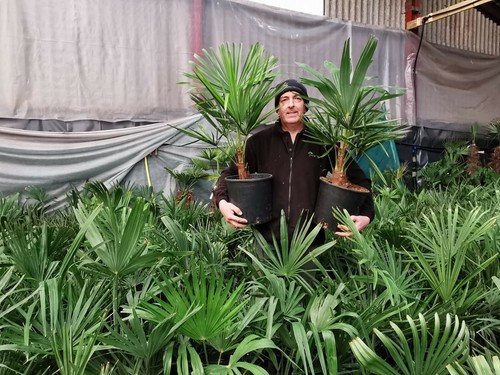 10ltr 3ft inc - 2.5-3ft,