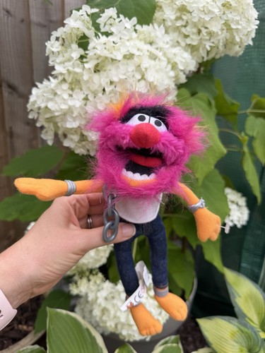 Animal from the - the, muppets