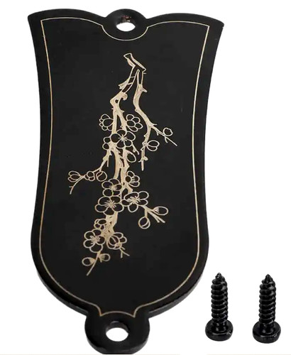 Truss rod cover - for, les