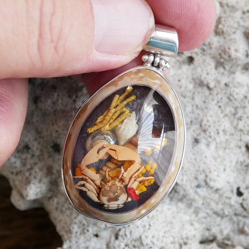 Shell coral resin picture - resin,