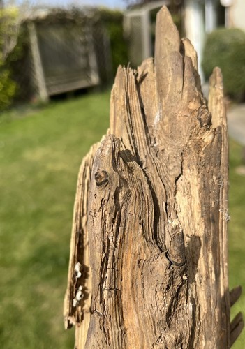 33cm weathered character - 33cm,