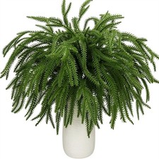 30Pcs Artificial Norfolk Pine