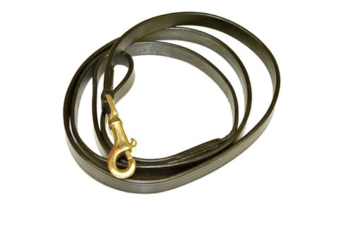 Plain leather lead rein with - plain,