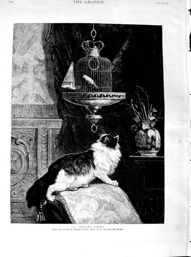 Old antique print - antique,