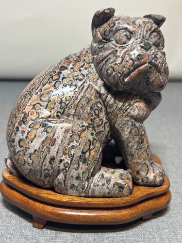 English bulldog leopard - english,