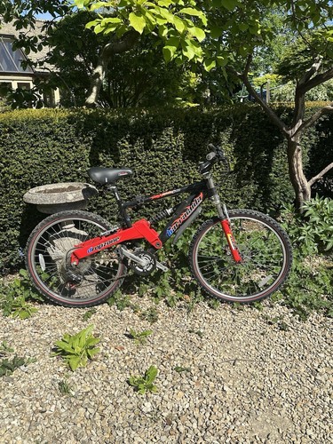 Barracuda adult bicycle - barracuda,