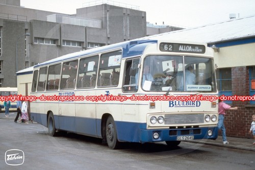 Bus photo midland bluebird - -,