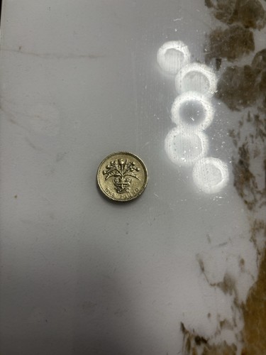 Coin 1984 rare - £1, 1