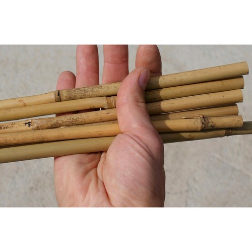Large strong bamboo canes - bamboo,