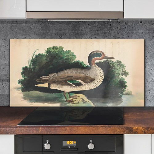 Birds wild animals drawing - birds,