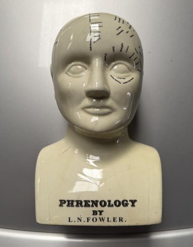 Phrenology head n fowler - by, l.n