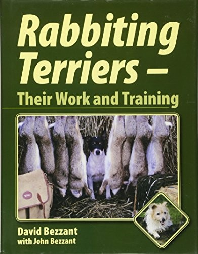 Rabbiting terriers their work - their,