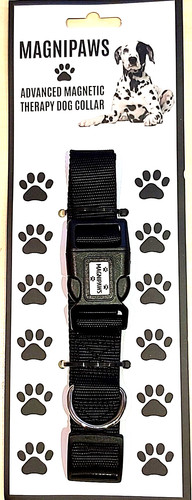 Dog collar with strong - collar,