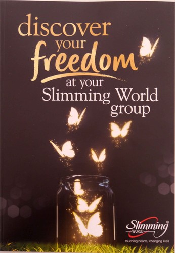 2024 slimming world starter - 2024,