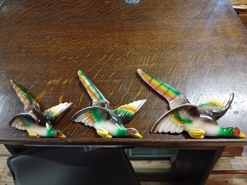 Flying ducks graduated vintage - flying,