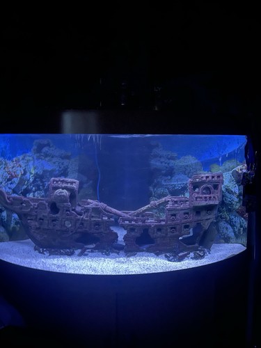 Juwel trigon 350 corner fish - trigon,