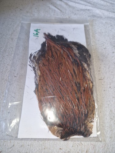 Cock cape fly tying - cock, cape,fly
