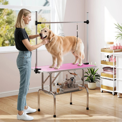 Dog grooming table - dog,