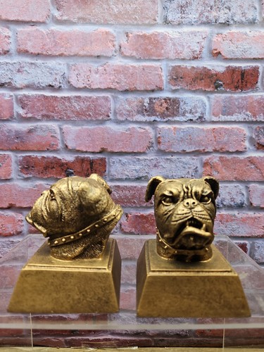 Bulldog Bookends - Resin Bully