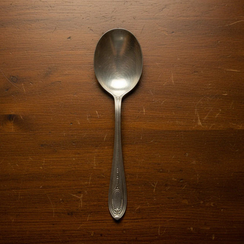 Vintage silveroid spoon - silveroid,