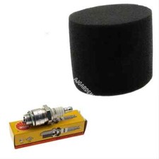 Air Filter Spark Plug Kit for