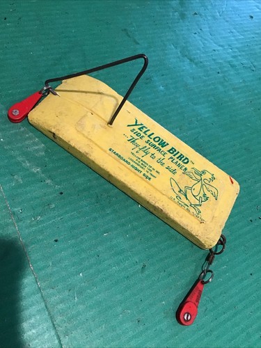 Yellow bird side - side, surface