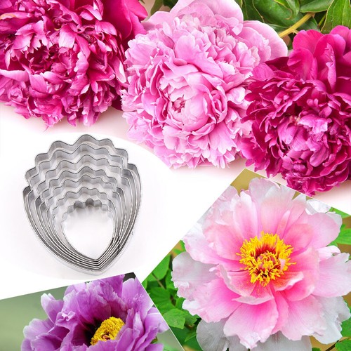Peony flower cutting mold - cutting,