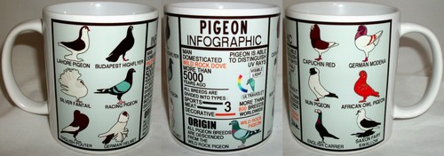 Pigeons infographic novelty - pigeons,