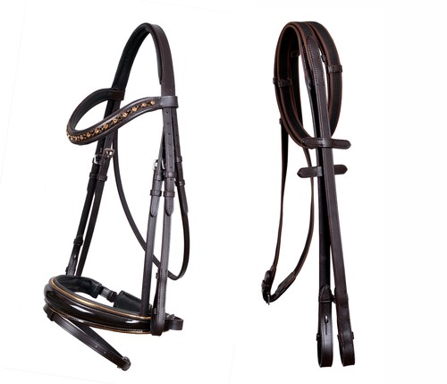 Horse english all - horse,