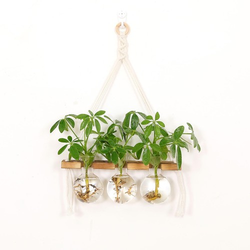 Wall hanging planter - wall, modern
