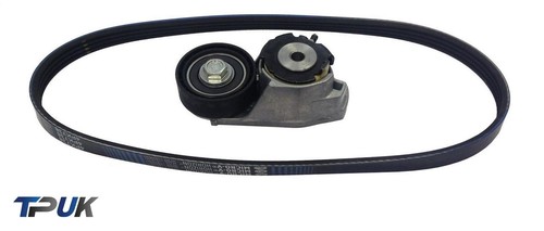 Power steering tensioner - tensioner, &