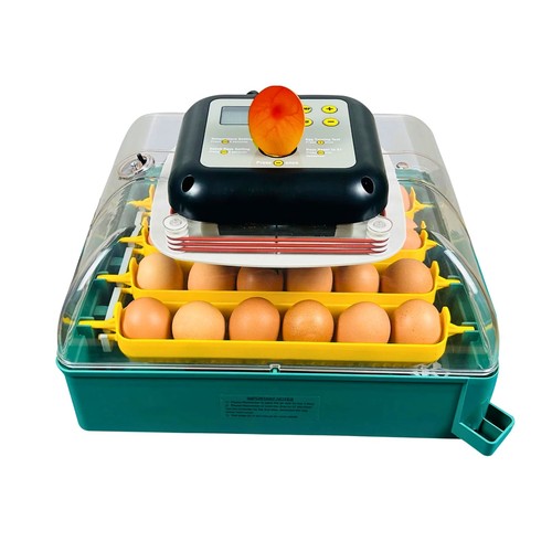 Inc24a automatic egg - inc24a,