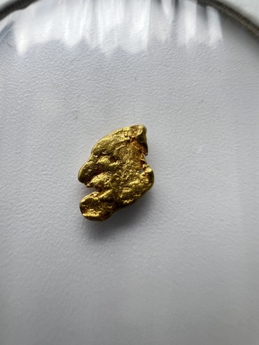 Gold nugget hand - panned, from