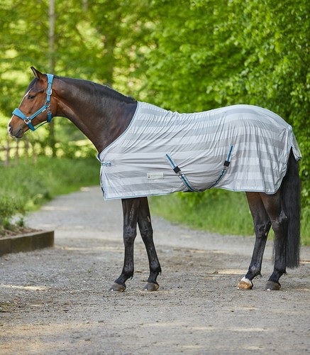 Horse fly rug - fly, sheet