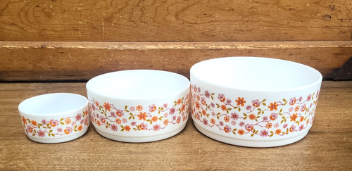 Set vintage arcopal - ,