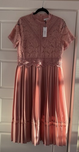 Coast lace bodice pleat skirt - lace,