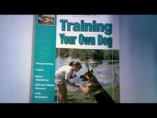 The guide to: Training your own Dog - Mattew Van Kyrk