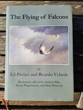 Falconry: The Flying of