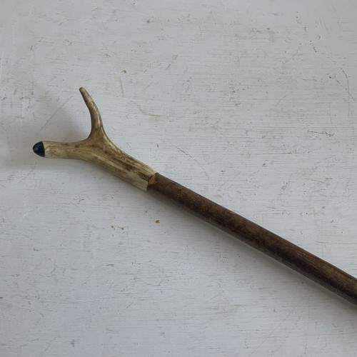 Antique thumstick walking cane - antique,