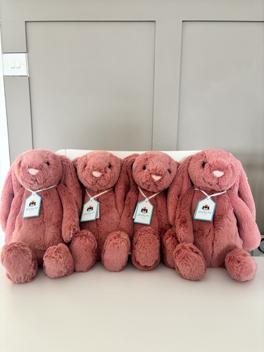 Bnwt retired jellycat sorrel - bnwt,