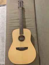 Faith Naked Saturn 12 String