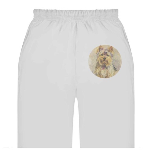 Yorkshire terrier adult - 'yorkshire,