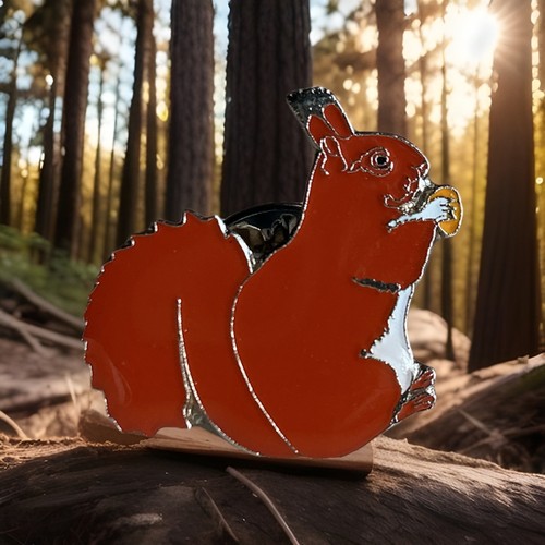 Rspb pin badge squirrel - rspb-,