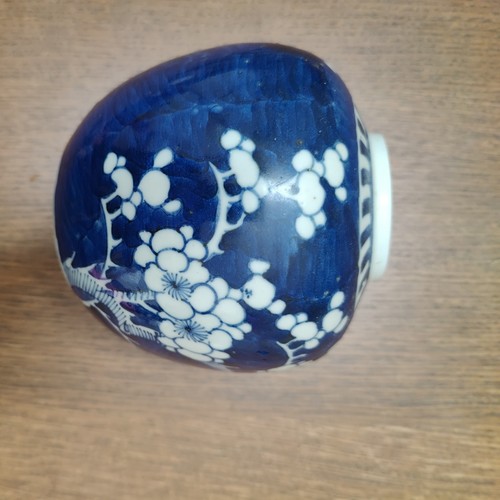 Vintage chinese prunus blue - vintage,