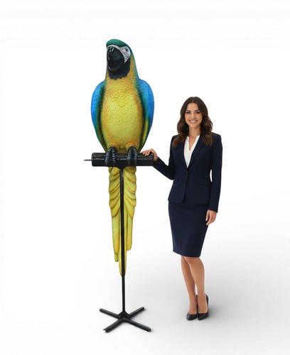 Parrot blue macaw - parrot,