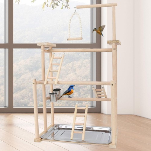 Bird play stand parrot - play,