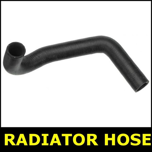 Radiator hose pipe lower - radiator,
