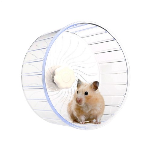 Hamster exercise wheels - hamster,