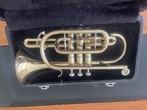 Rikter intermusic trumpet with - rikter,